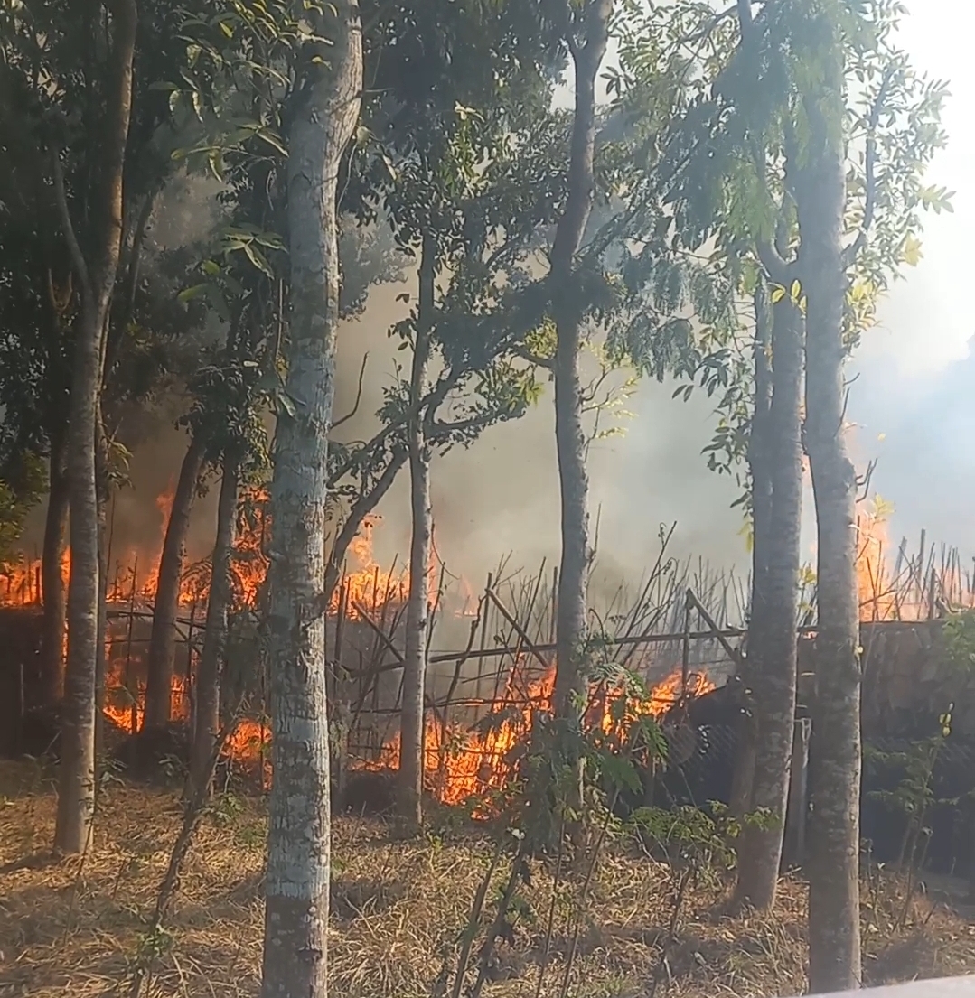 আলমডাঙ্গার ডাউকি গ্রা‌মে পান বোরজে অগ্নিকাণ্ড: ৫ কৃষকের স্বপ্ন পুড়ে ছাই, ক্ষতি প্রায় ২০ লাখ টাকা