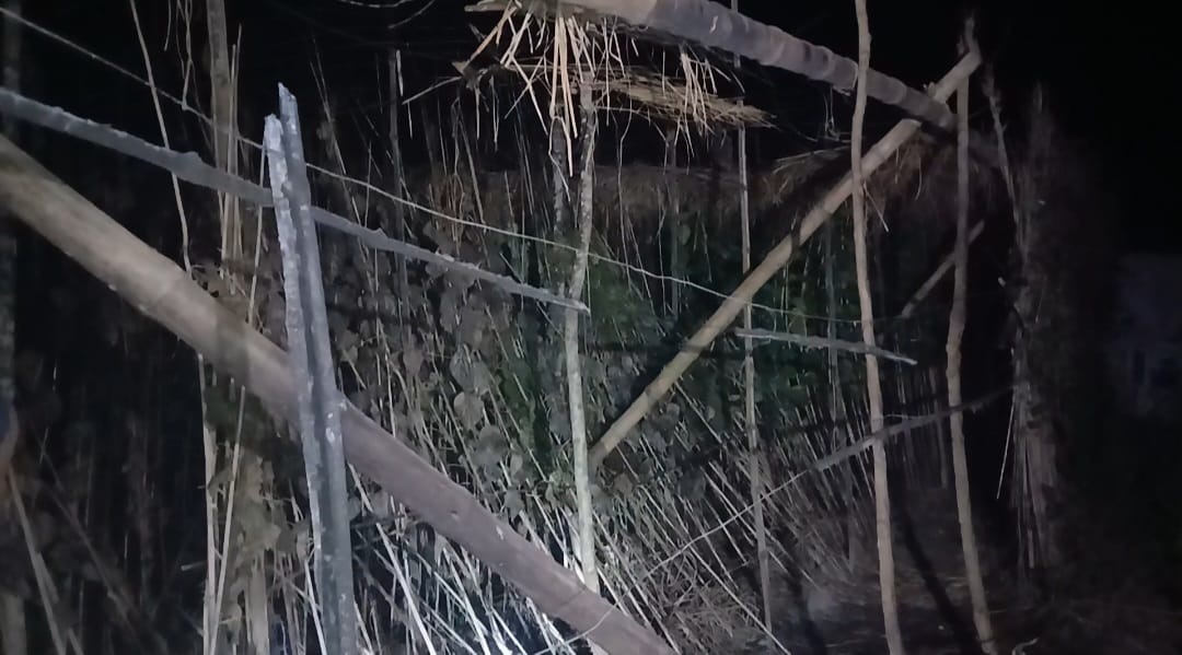 আলমডাঙ্গার বকসিপুরে একই সময় তিন স্থানে তিনটি পান বোরজে আগুন পরিকল্পিত অগ্নিসংযোগের সন্দেহ, কৃষকদের মাঝে আতঙ্ক