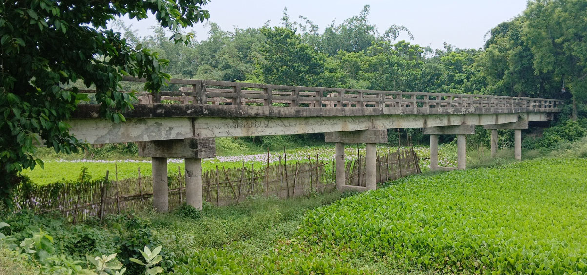 আলমডাঙ্গা-মিরপুর উপজেলার সীমান্তে হাড়গাড়ি-বাজিতপুর ব্রিজ ঝুঁকিপূর্ণ :  নতুন ব্রিজ নির্মাণের দাবি