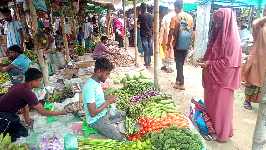 কাঁচামরিচের কেজি ৩১০ টাকা