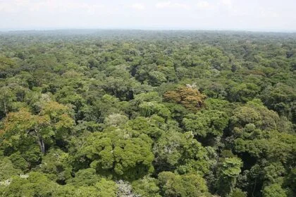 কৃষকদের দুর্ভোগ বাড়ার আশঙ্কা