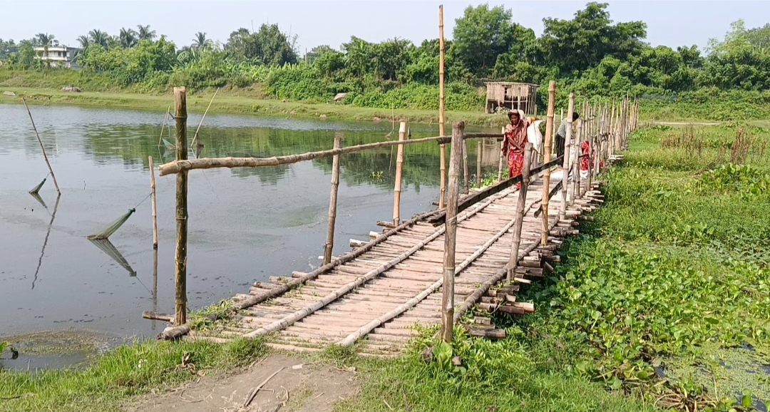 মেহেরপুরে ভৈরব নদে একটি সেতুর অপেক্ষা, ৫৫ বছর ধরে চরম ভোগান্তিতে দুই উপজেলার বাসিন্দা