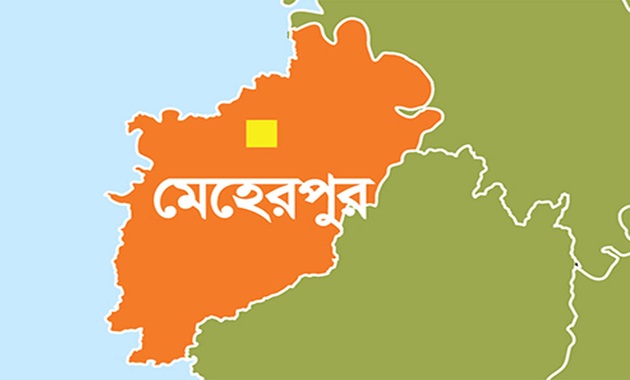 মেহেরপুরে মাদক ও কিশোর গ্যাংবিরোধী অভিযানে এক রাতেই আটক ৪৯